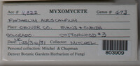 Image Associated With the Occurence